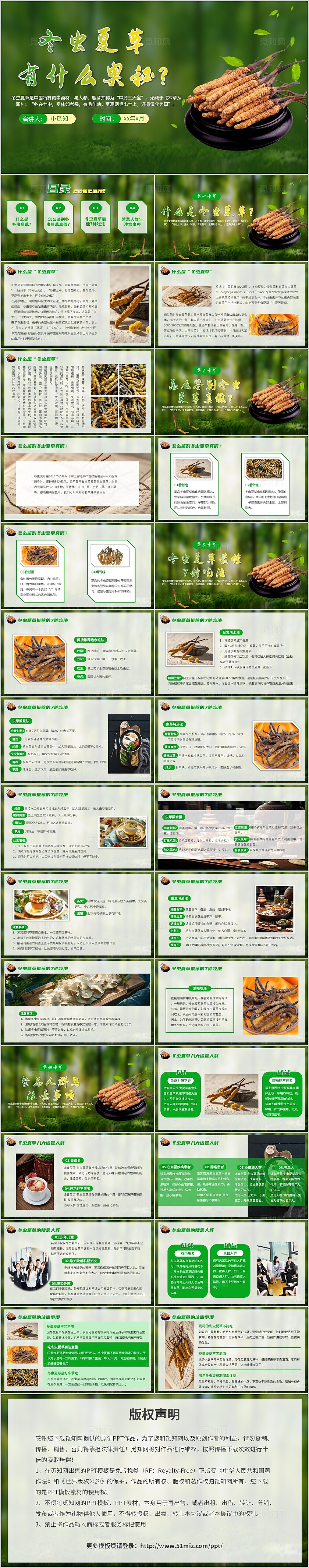 绿色简约冬虫夏草有什么奥秘说课课件PPT模板