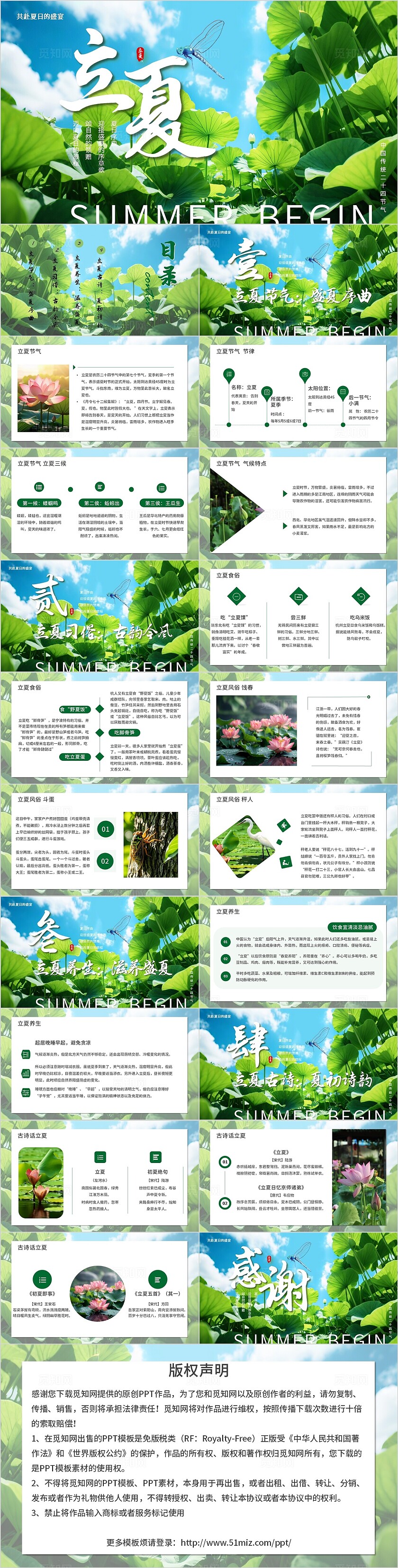 绿色简约风二十四节气立夏宣传介绍教育课件PPT模板