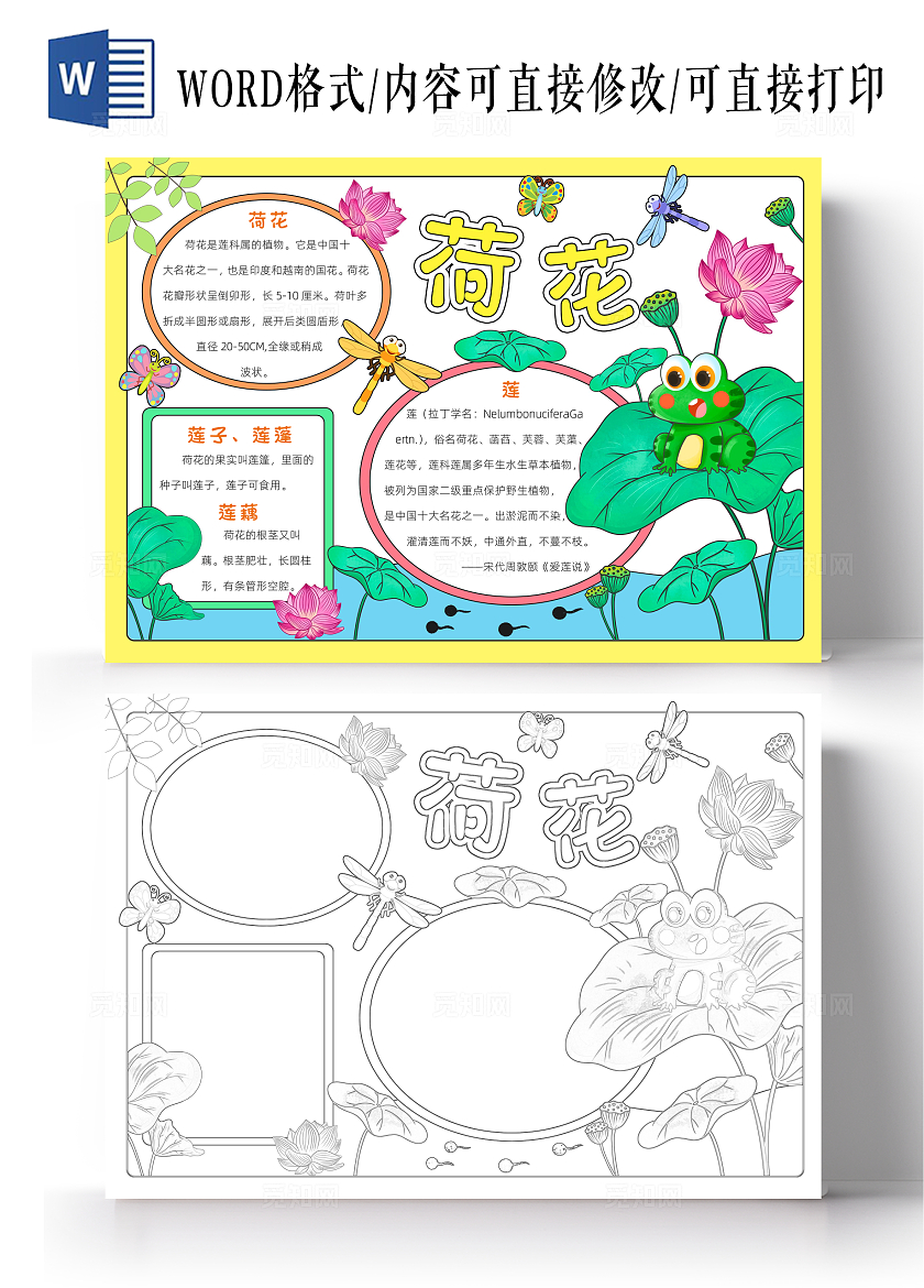 绿色卡通荷花卡通小报手抄报夏天
