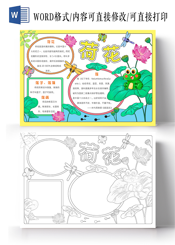 绿色卡通荷花卡通小报手抄报夏天