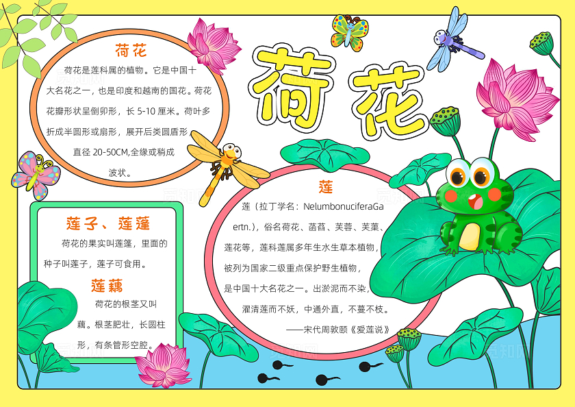 绿色卡通荷花卡通小报手抄报夏天