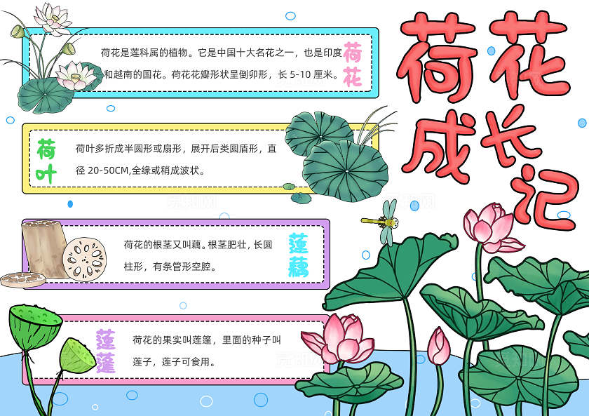 植物生长空白植物观察日记生长观察日记植物生长绿色卡通手绘小清新荷花成长记知识分享手抄报植物记录卡