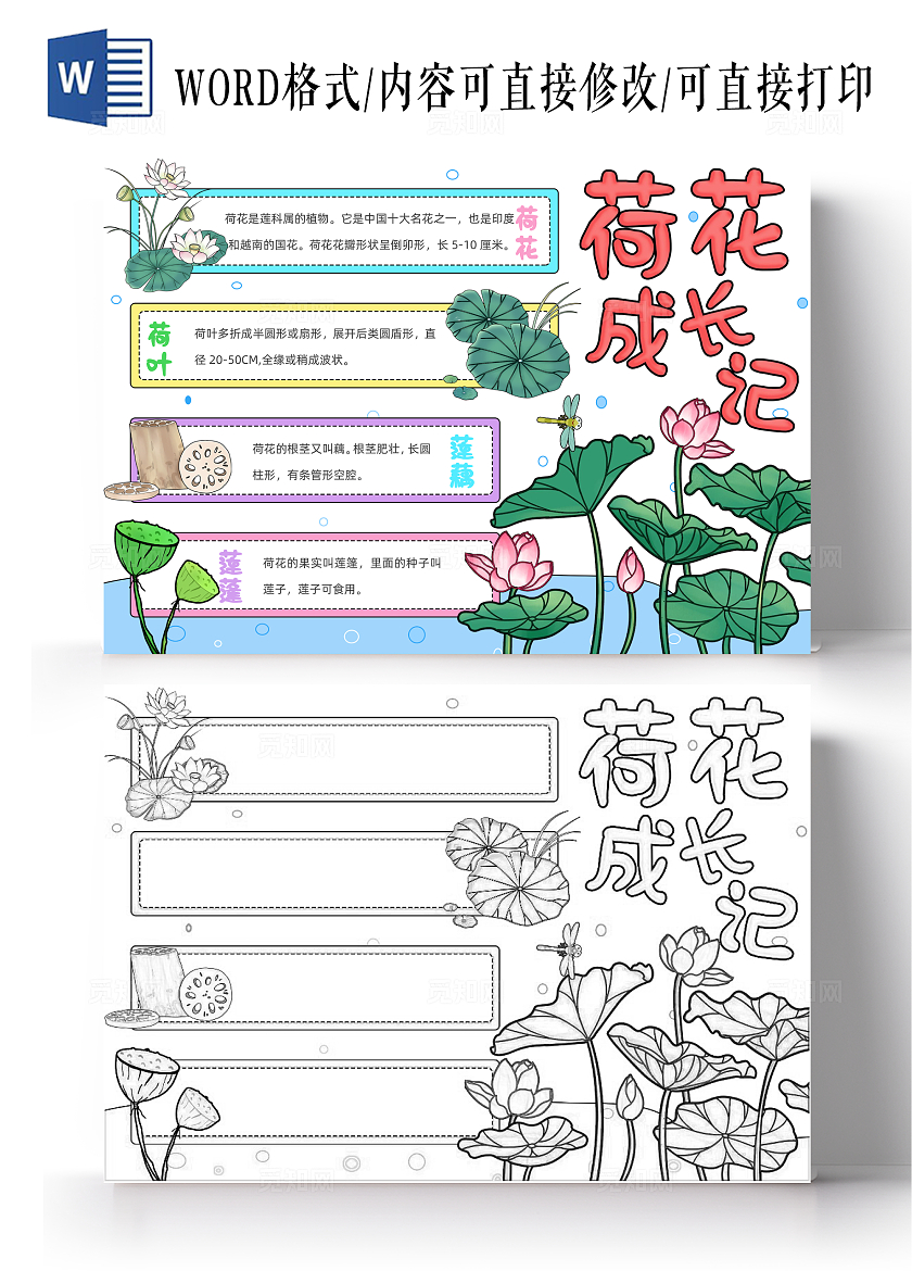 植物生长空白植物观察日记生长观察日记植物生长绿色卡通手绘小清新荷花成长记知识分享手抄报植物记录卡