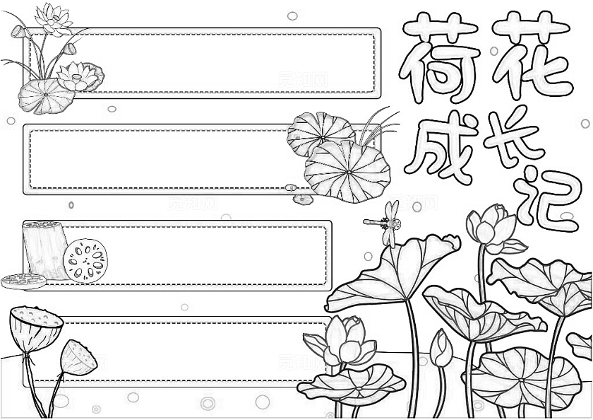 植物生长空白植物观察日记生长观察日记植物生长绿色卡通手绘小清新荷花成长记知识分享手抄报植物记录卡
