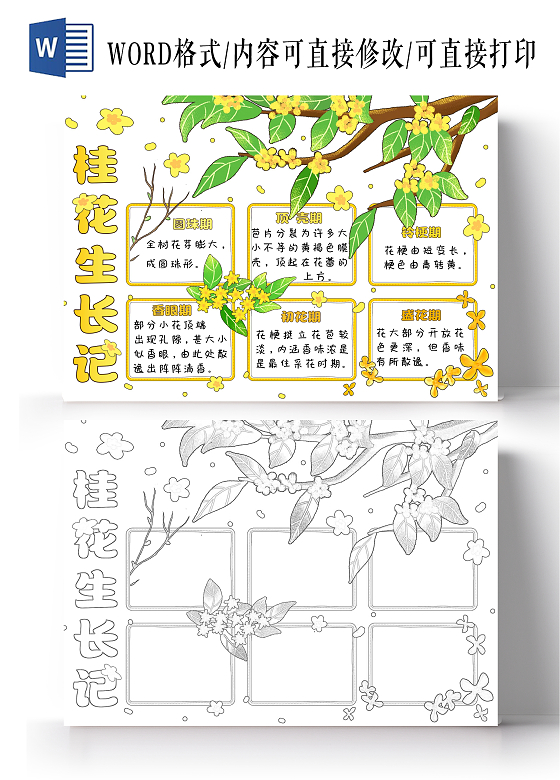 植物生长空白生长过程植物观察日记黄色卡通手绘桂花生长记桂花植物生长小报手抄报