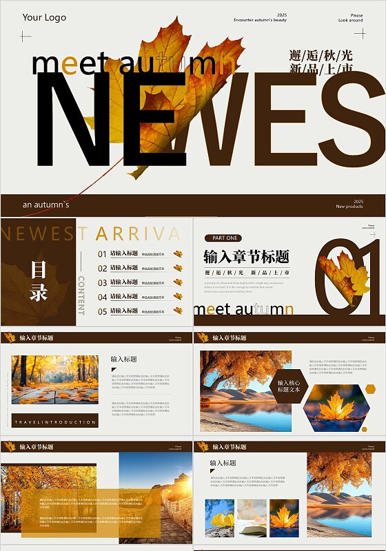 黄色棕色简约秋天画册秋季上新PPT模板