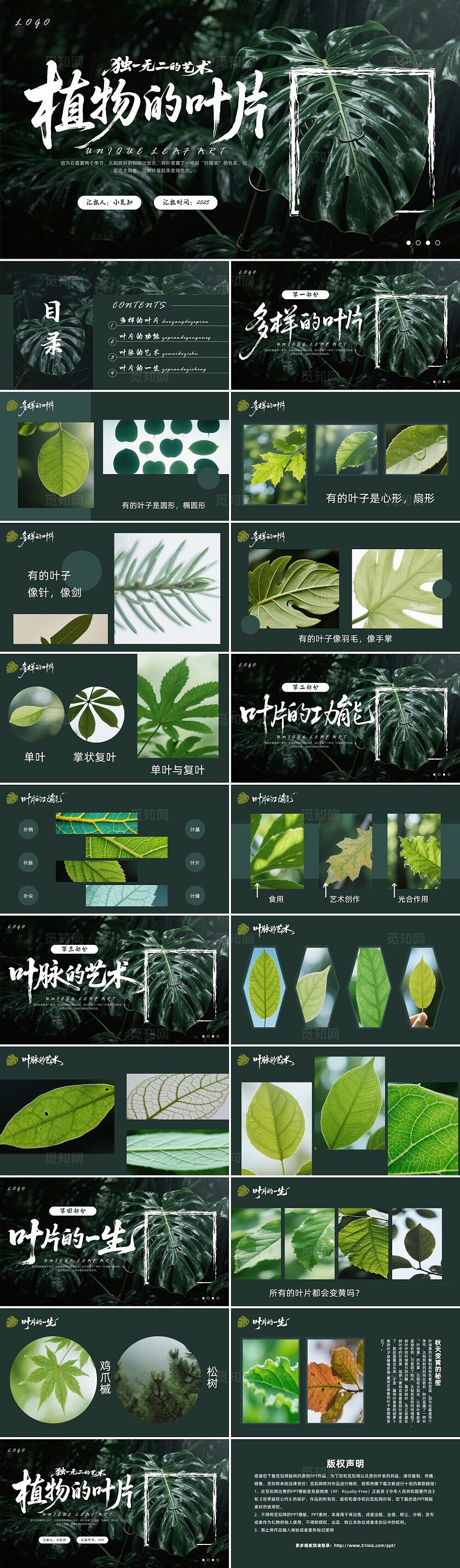 绿色简约实拍自然教育叶片教学PPT模板宣传PPT动态PPT植物课件