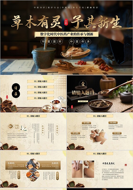 中国风中药中医传承行业通用模板PPT(1)