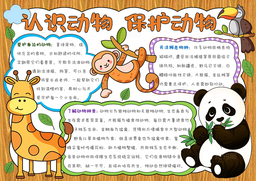 卡通手绘插画认识动物 保护动物手抄报世界动物日