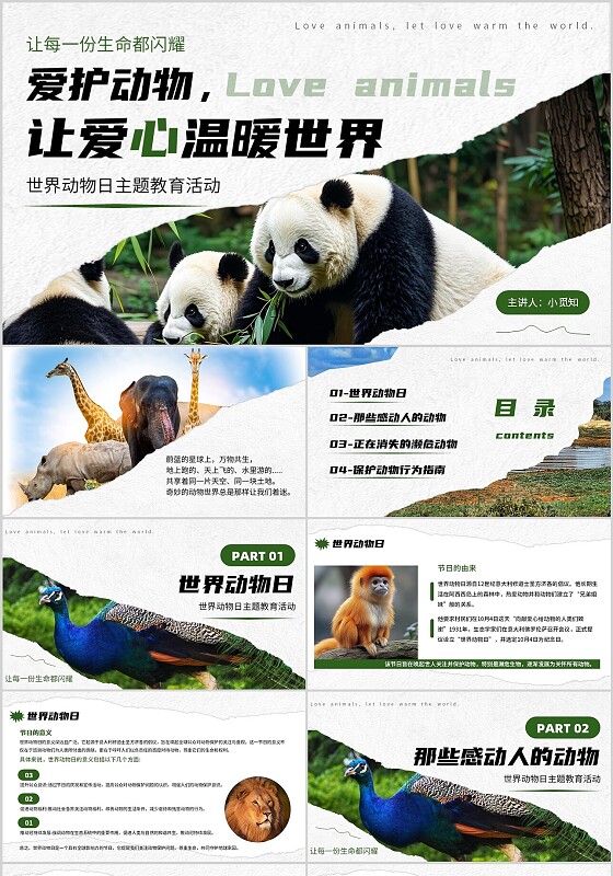 绿色实拍风保护动物让爱心温暖世界宣传介绍教育课件PPT模板世界动物日
