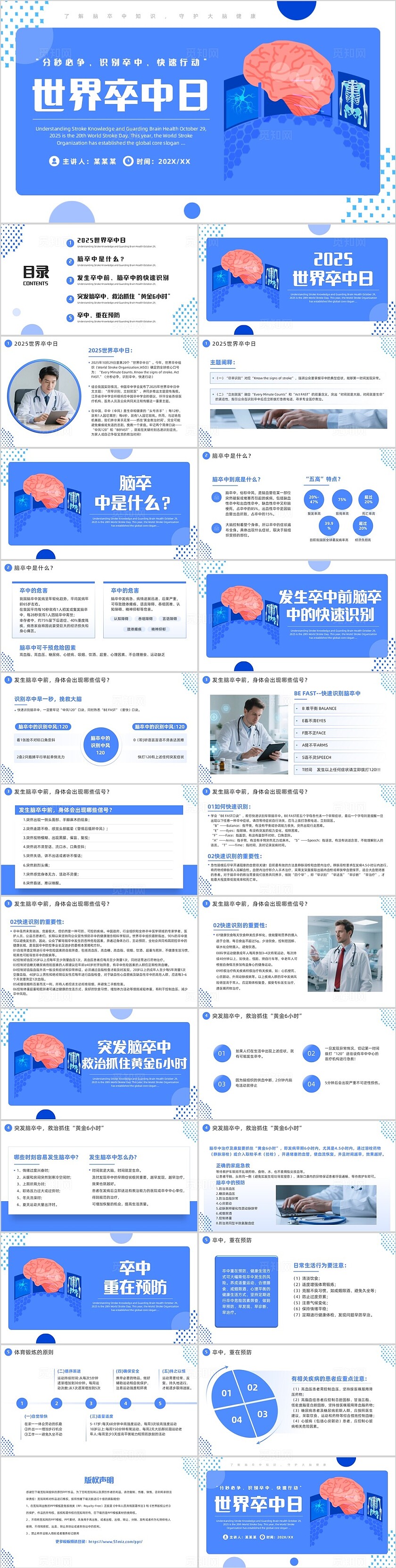 蓝色简约风世界卒中日介绍PPT模板脑卒中