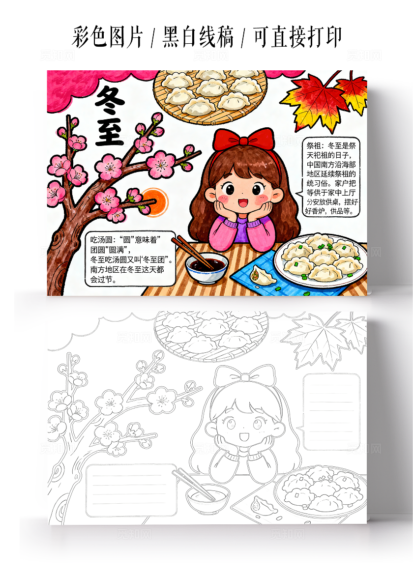 彩色卡通手绘冬至习俗手抄报小报小学生手抄报