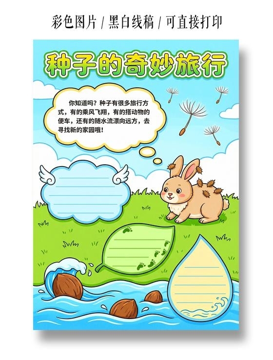 植物生长彩色卡通手绘种子的奇妙旅行小报手抄报