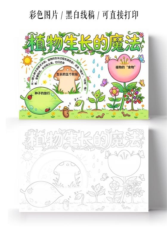 彩色卡通手绘植物生长的魔法小报手抄报