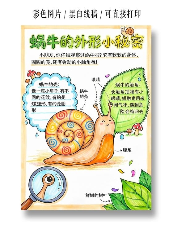 彩色卡通手绘蜗牛的外形小秘密小报手抄报小学生手抄报