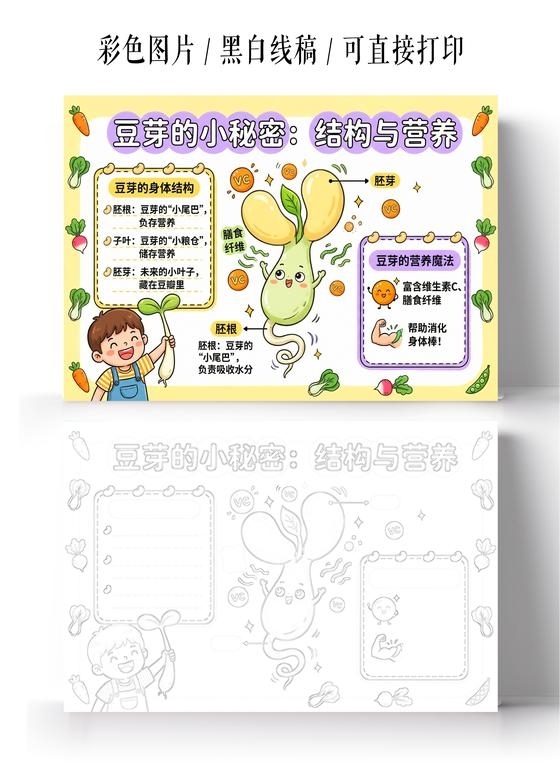 彩色卡通手绘豆芽的小秘密结构与营养小报手抄报小学生手抄报