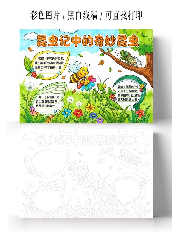 彩色卡通手绘昆虫记中的奇妙昆虫小报手抄报小学生手抄报