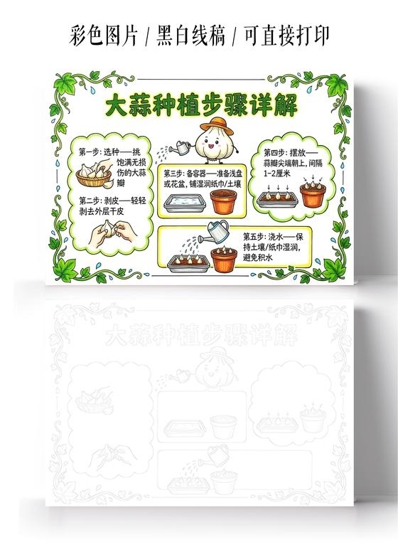 彩色卡通手绘大蒜种植步骤详解小报手抄报小学生手抄报