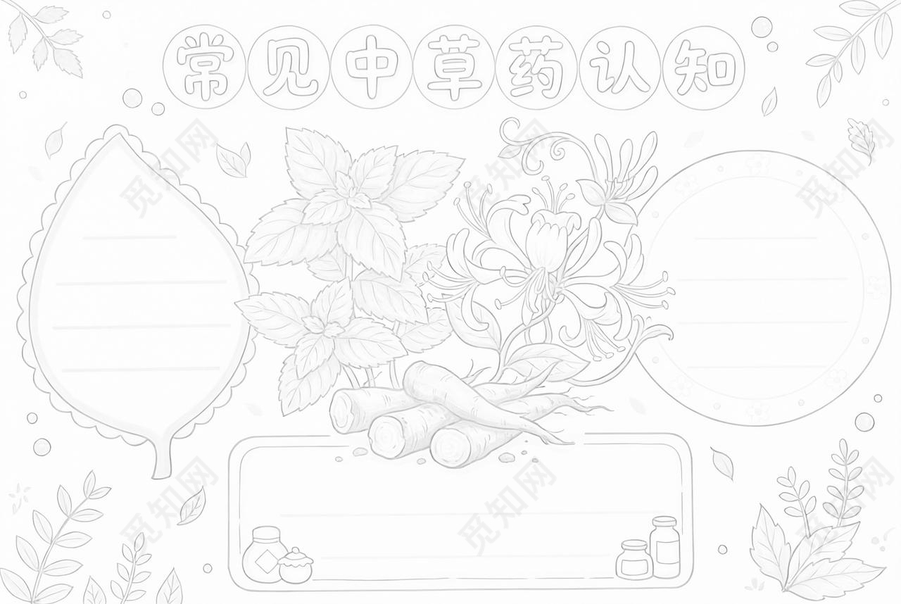 彩色卡通手绘常见中草药认知小报手抄报小学生手抄报