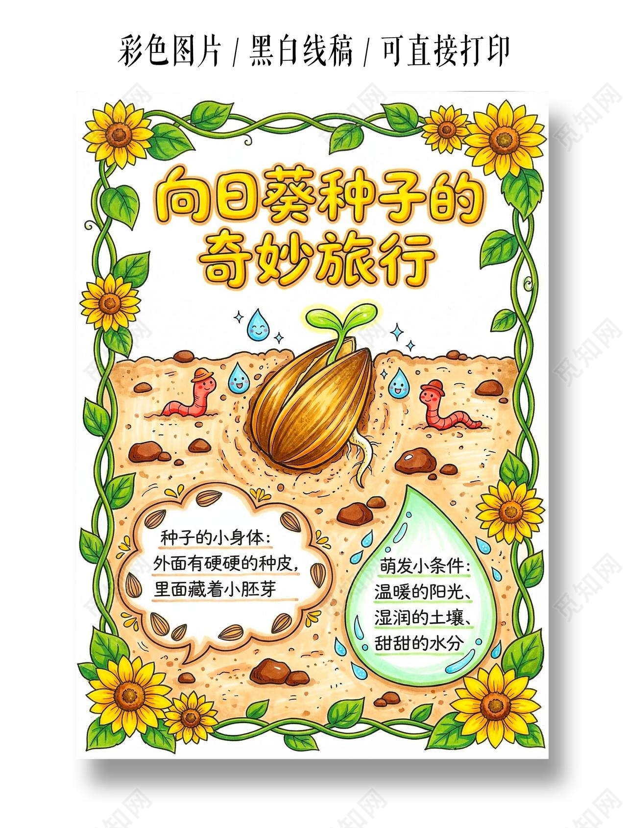 彩色卡通手绘向日葵种子的奇妙旅行小报手抄报小学生手抄报