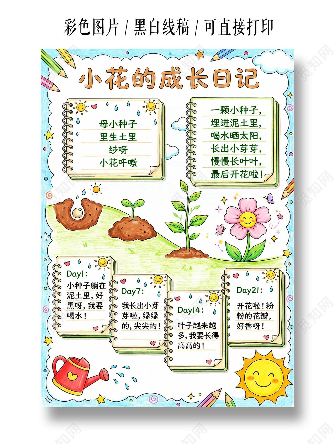 彩色卡通手绘小花成长日记小报手抄报小学生手抄报