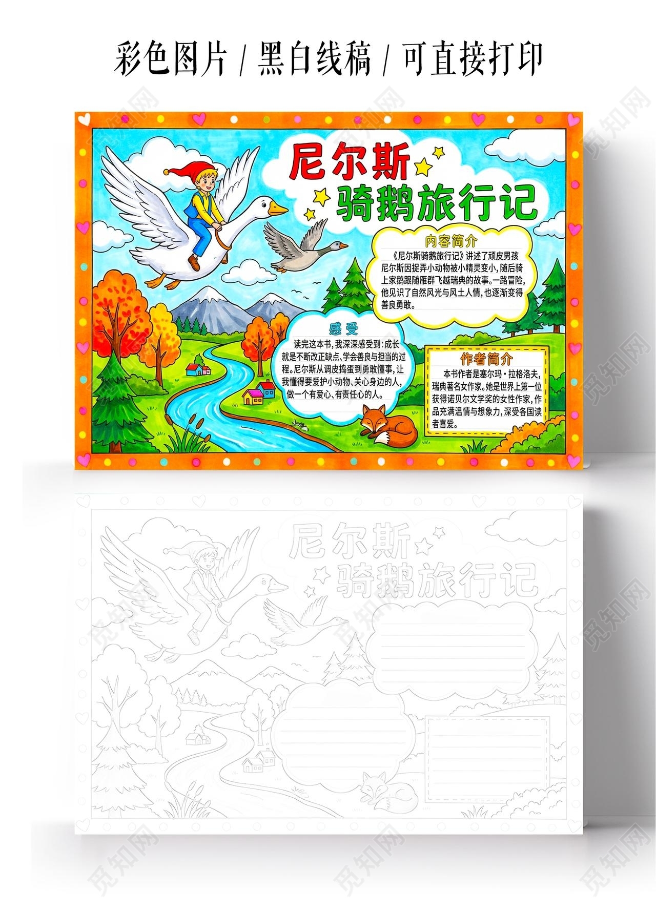 彩色卡通手绘尼尔斯骑鹅旅行记小报手抄报读书