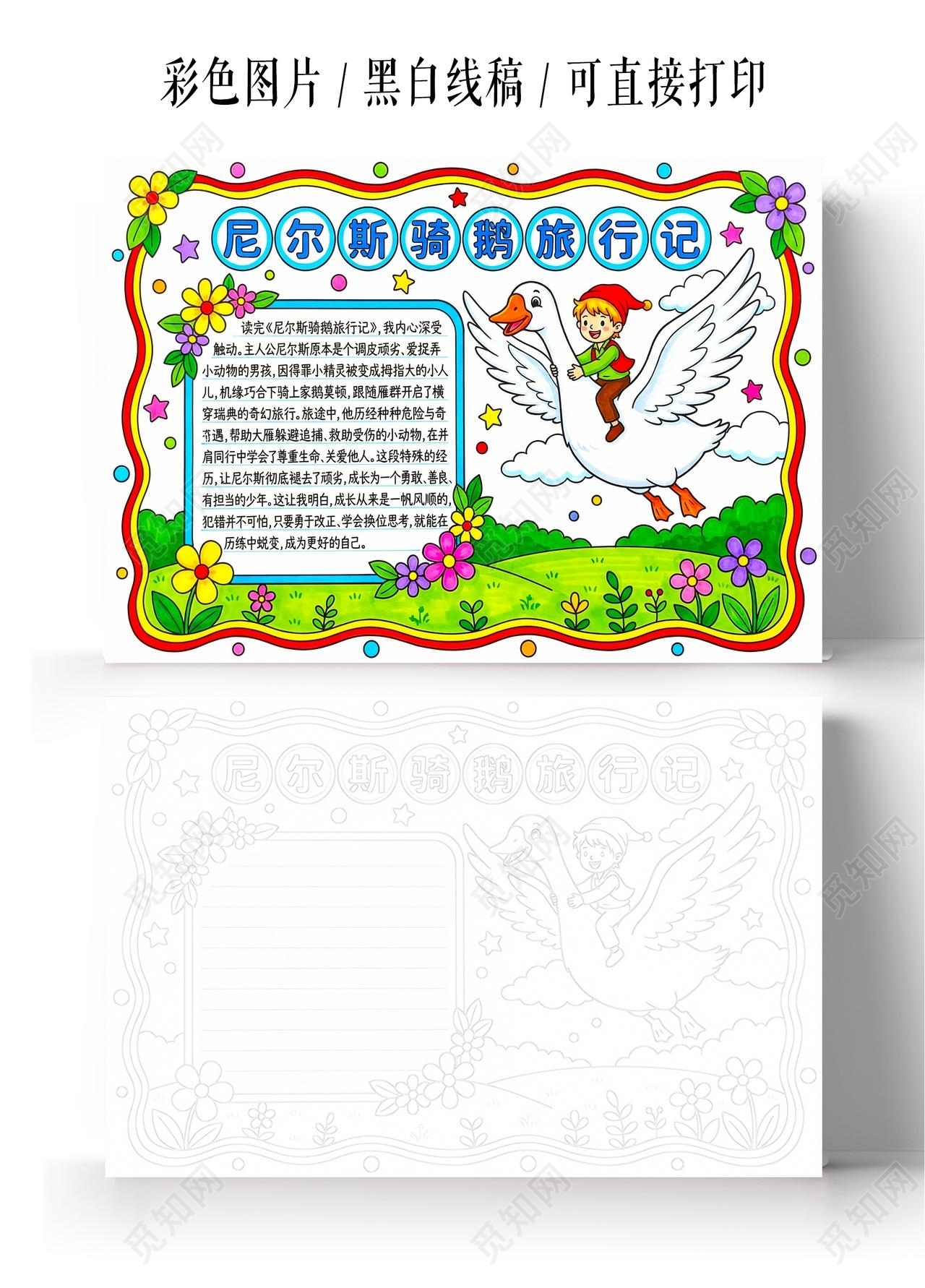彩色卡通手绘尼尔斯骑鹅旅行记小报手抄报读书