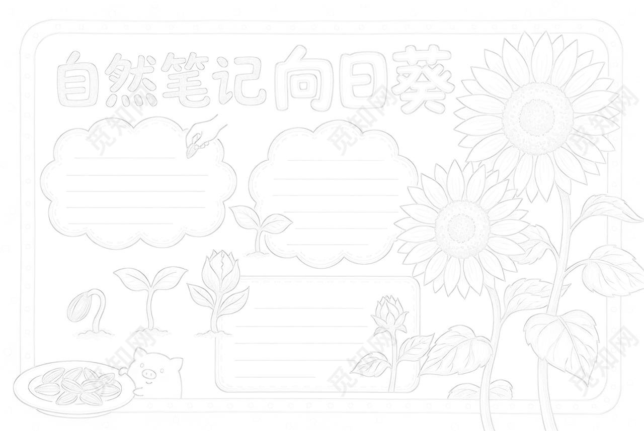 彩色卡通手绘自然笔记向日葵小报手抄报小学生手抄报
