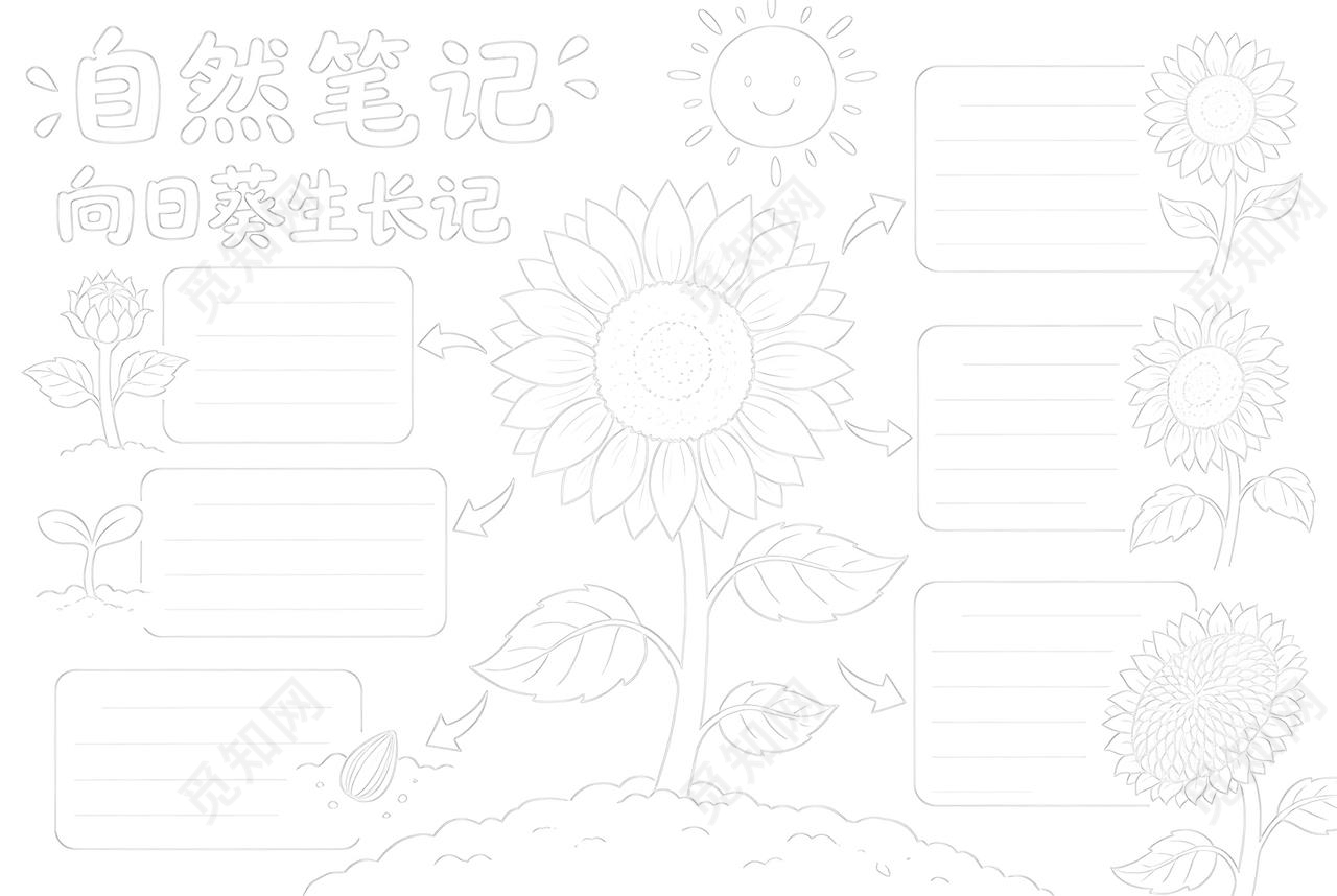 彩色卡通手绘自然笔记小报手抄报小学生手抄报