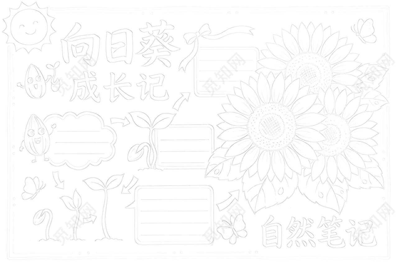 彩色卡通手绘向日葵成长记小报手抄报小学生手抄报
