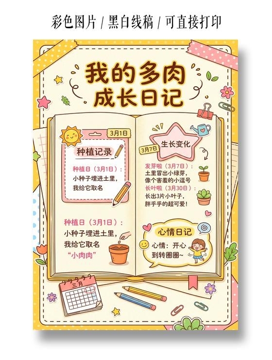 彩色卡通手绘我的多肉成长日记小报手抄报小学生手抄报