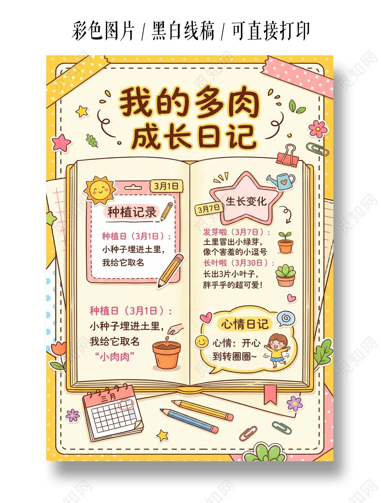 彩色卡通手绘我的多肉成长日记小报手抄报小学生手抄报