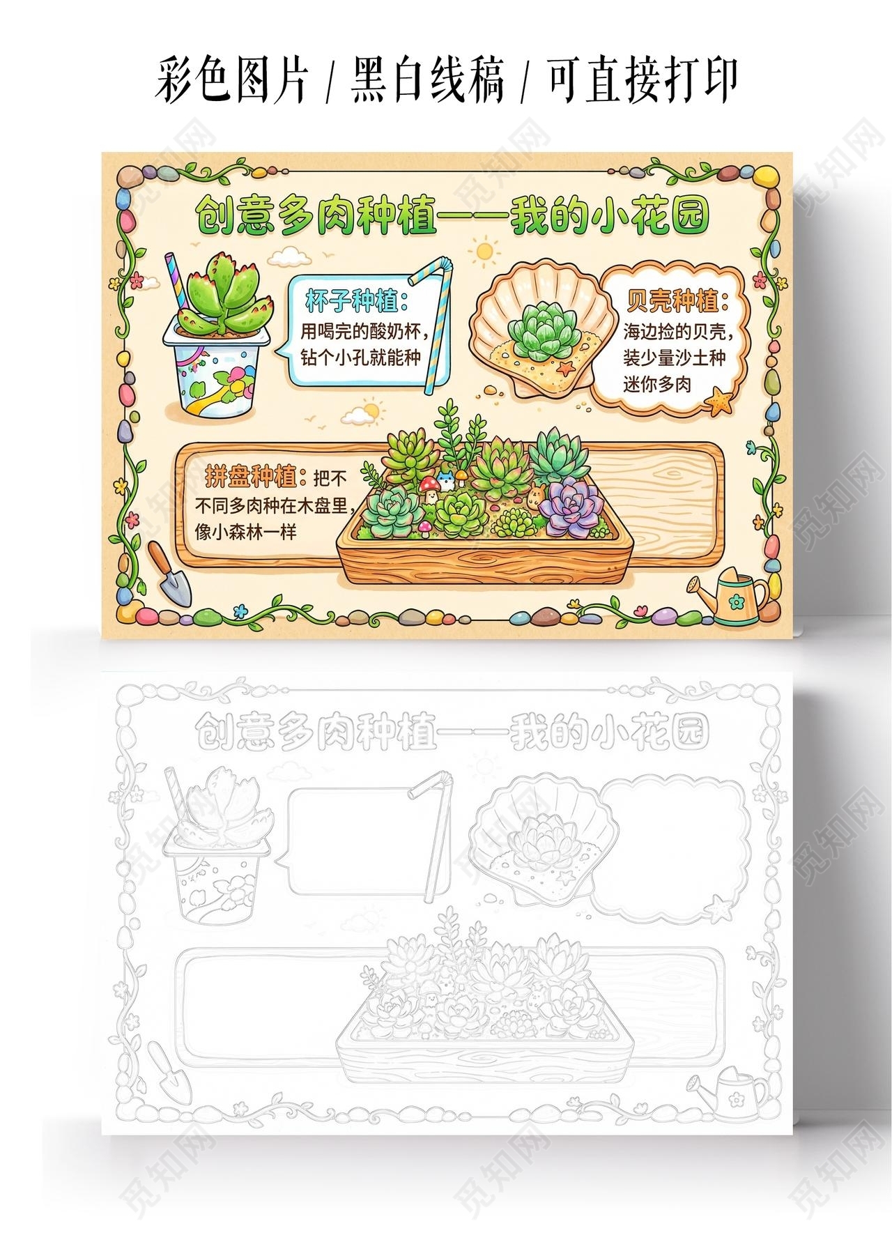 彩色卡通手绘创意多肉种植一一我的小花园小报手抄报小学生手抄报