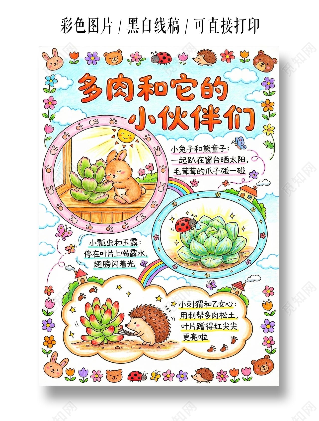 彩色卡通手绘多肉和它的小伙伴们小报手抄报小学生手抄报