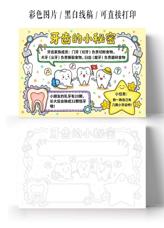 彩色卡通手绘牙齿的小秘密小报手抄报小学生手抄报