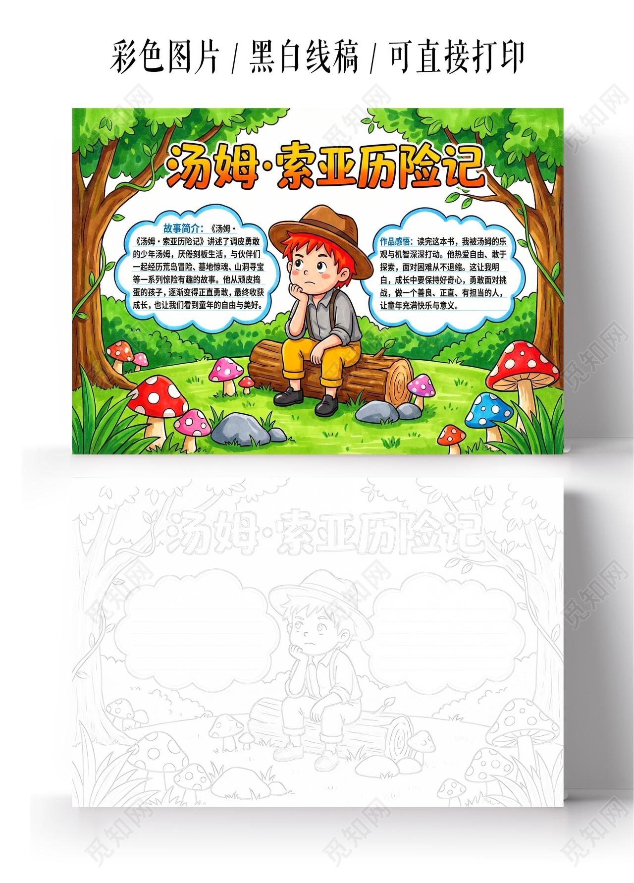 彩色卡通手绘汤姆索亚历险记小报手抄报读书