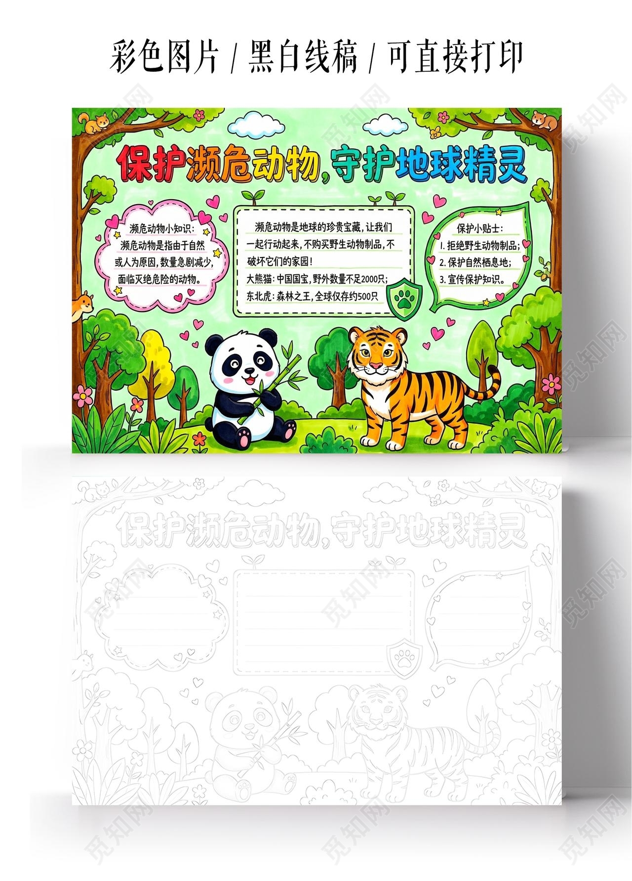 彩色卡通手绘保护濒危动物守护地球精灵小报手抄报小学生手抄报