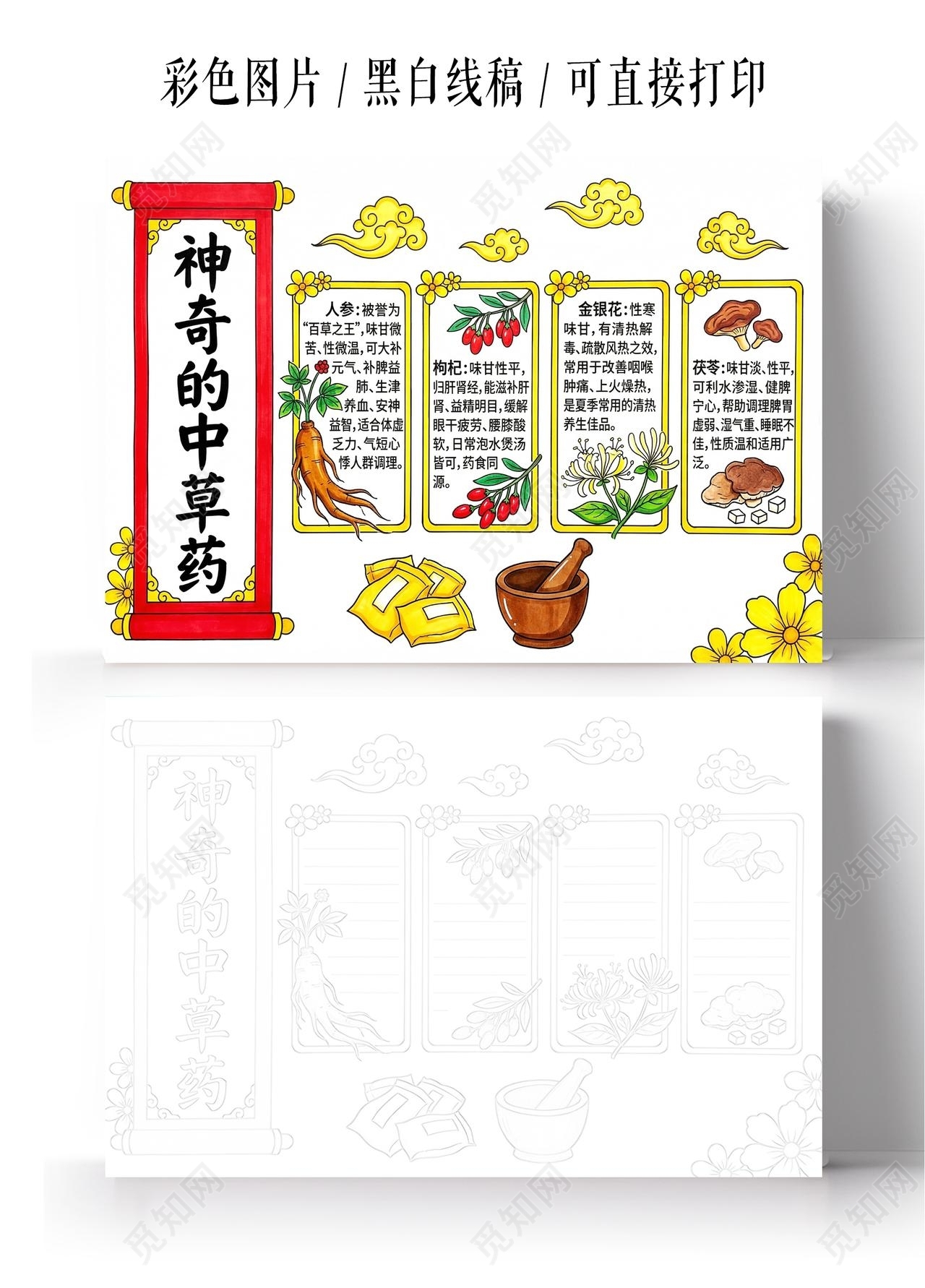 彩色卡通手绘神奇的中草药小报手抄报小学生手抄报