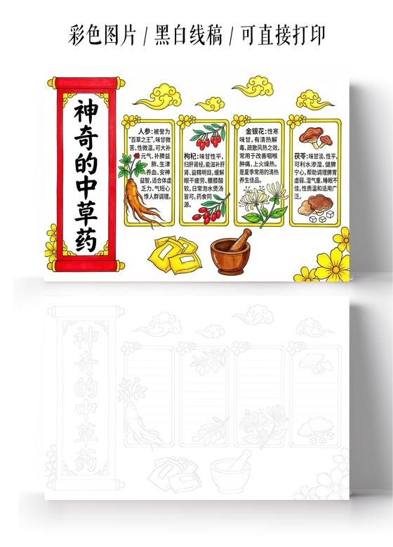 彩色卡通手绘神奇的中草药小报手抄报小学生手抄报