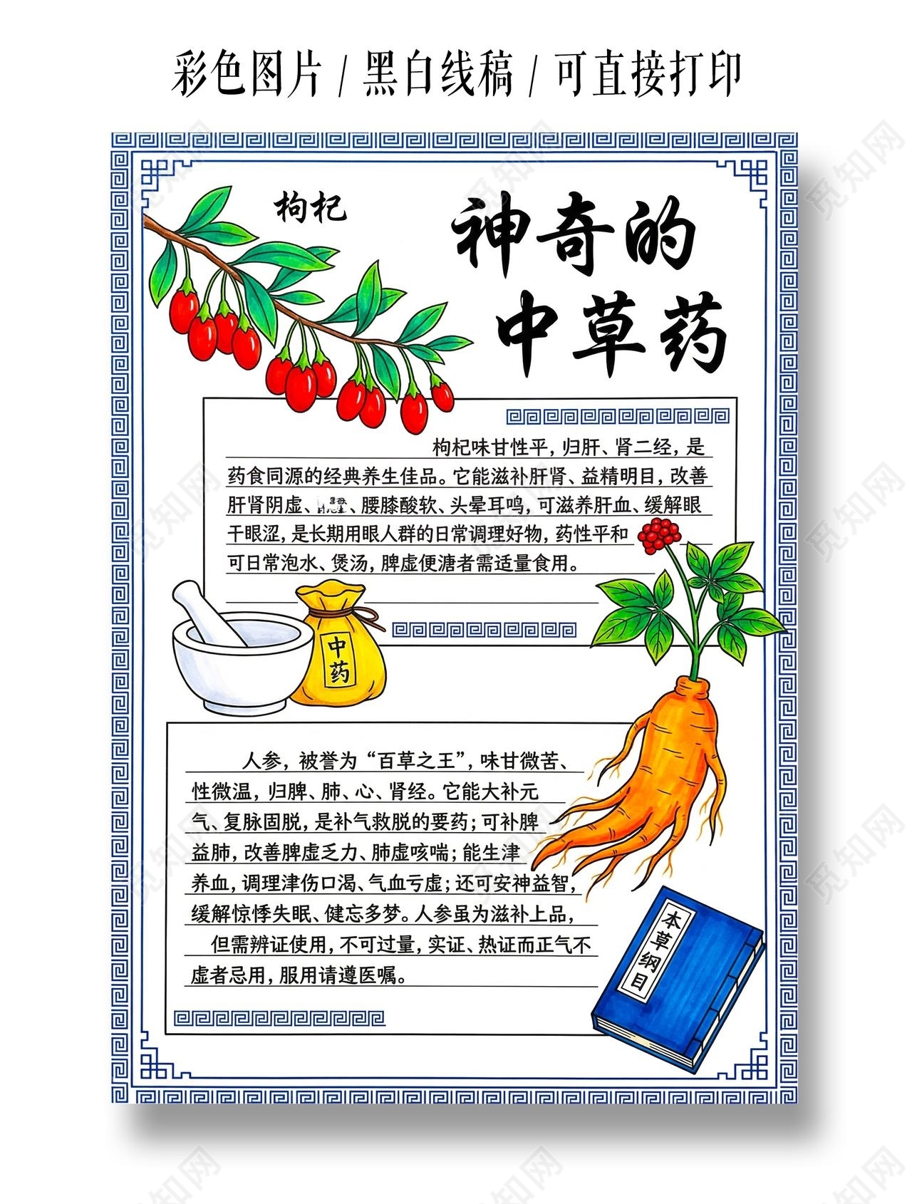 彩色卡通手绘神奇的中草药小报手抄报小学生手抄报