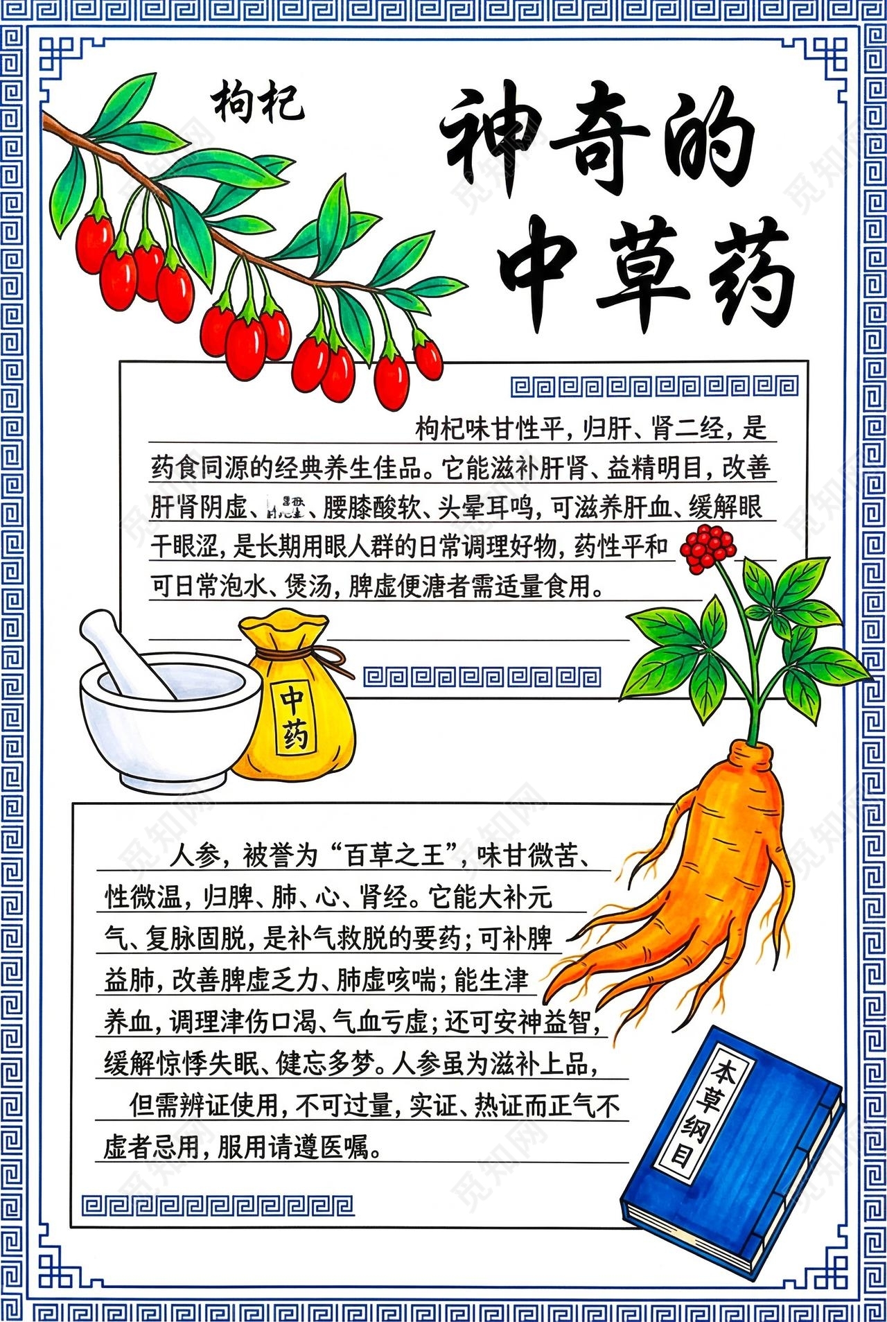 彩色卡通手绘神奇的中草药小报手抄报小学生手抄报