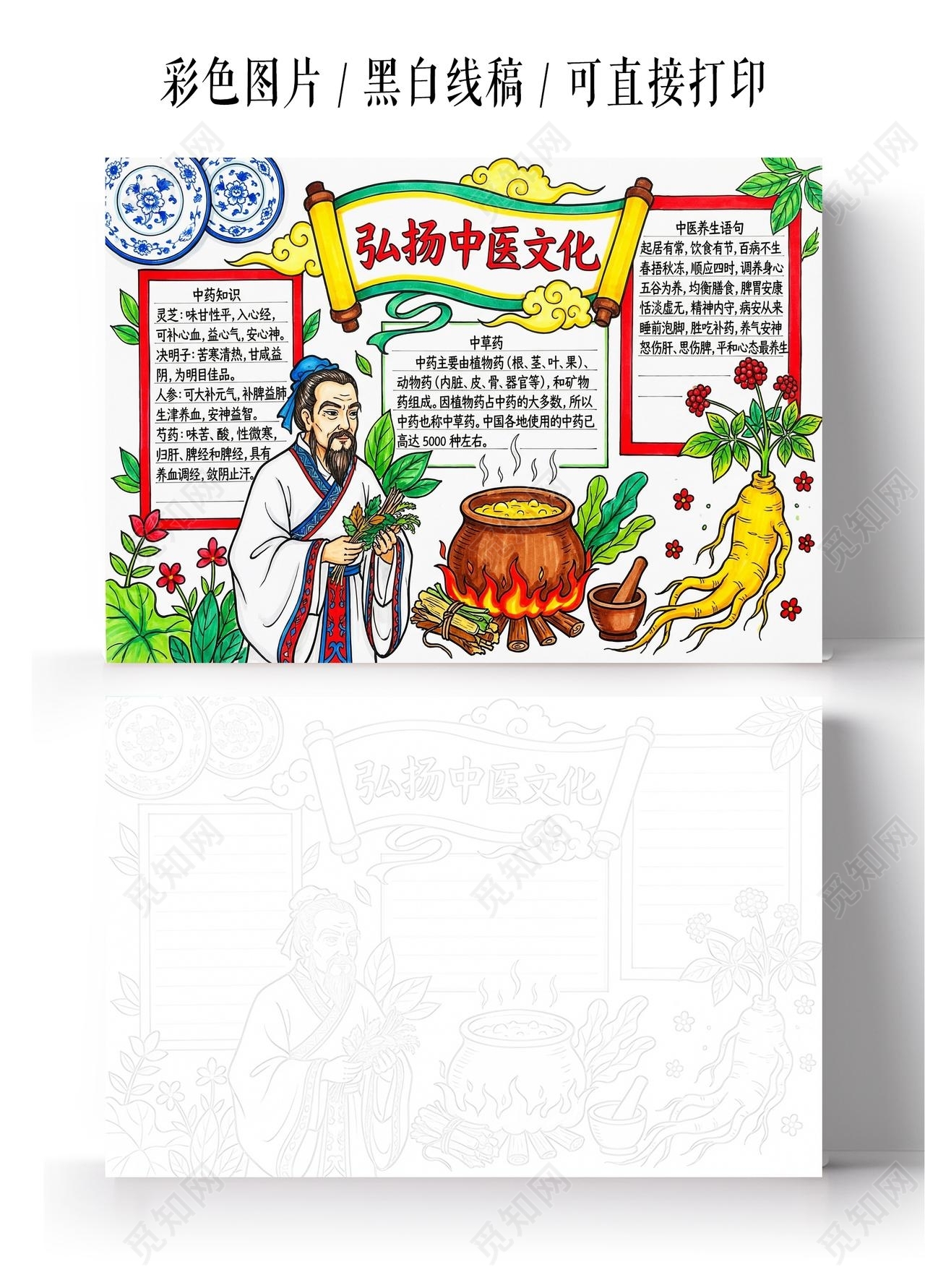 彩色卡通手绘弘扬中医文化小报手抄报小学生手抄报