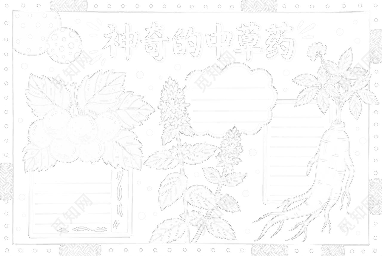 彩色卡通手绘神奇的中草药小报手抄报小学生手抄报