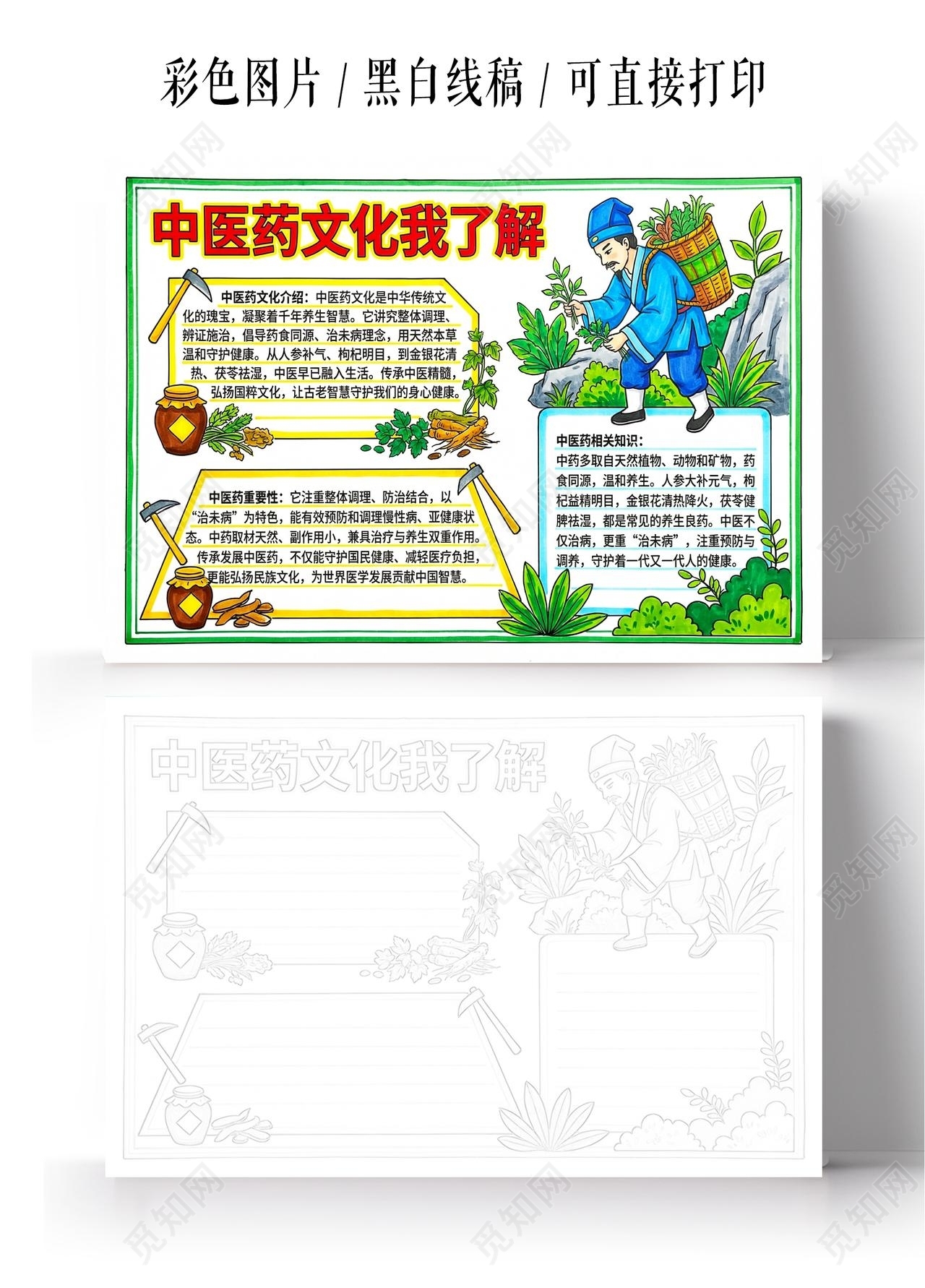彩色卡通手绘中医药文化我了解小报手抄报小学生手抄报