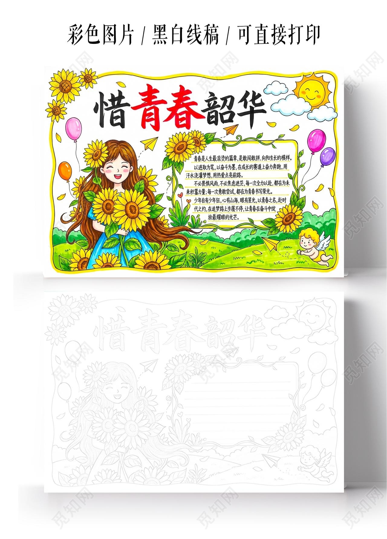 彩色卡通手绘惜青春韶华小报手抄报小学生手抄报