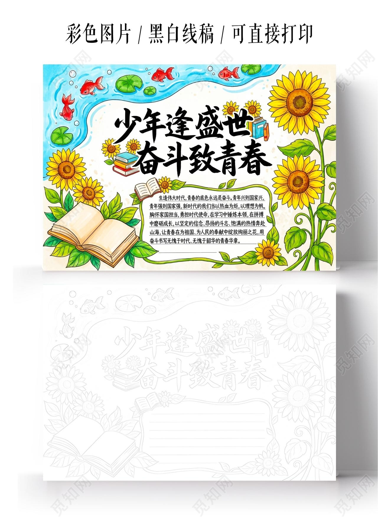 彩色卡通手绘少年逢盛世奋斗致青春小报手抄报小学生手抄报