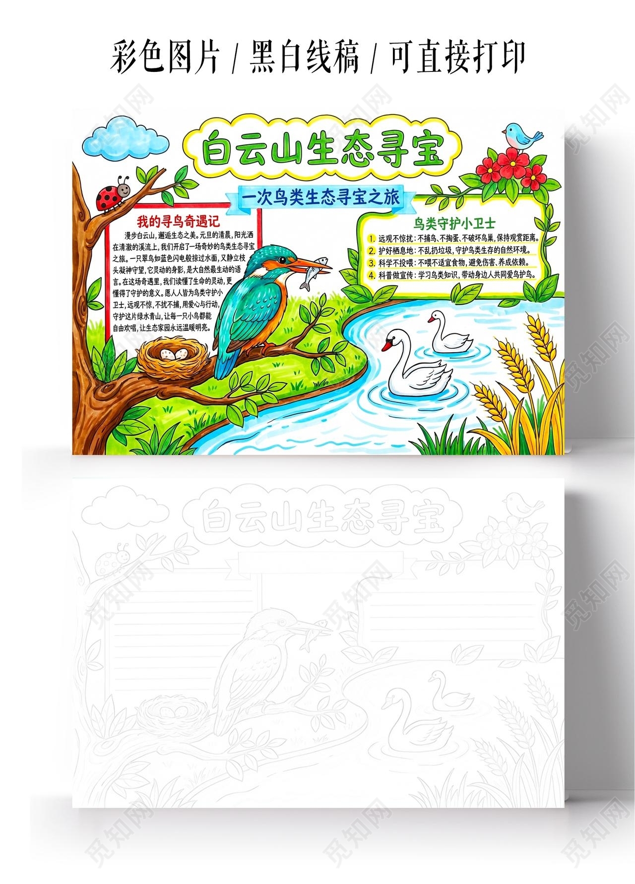 彩色卡通手绘白云山生态寻宝小报手抄报小学生手抄报