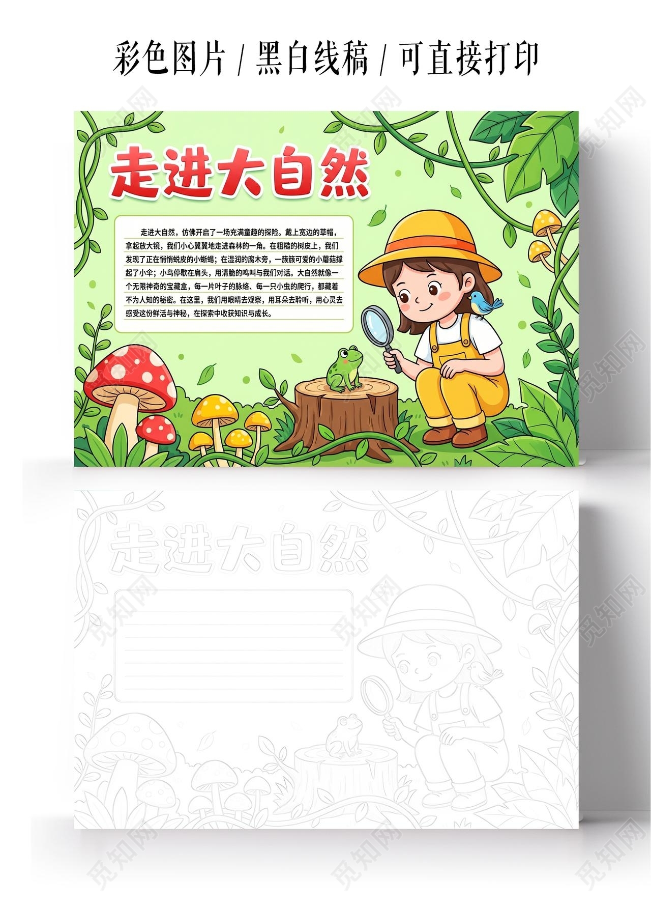 彩色卡通手绘走进大自然小报手抄报小学生手抄报