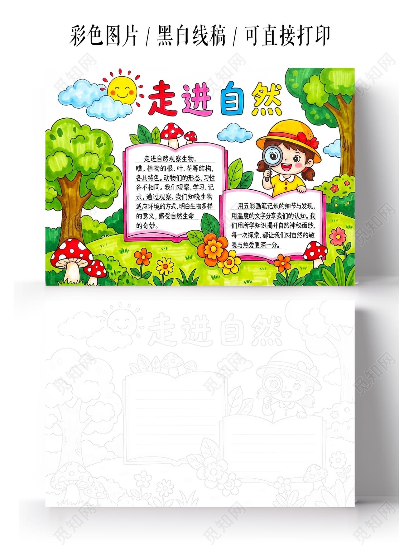 彩色卡通手绘走进自然小报手抄报小学生手抄报