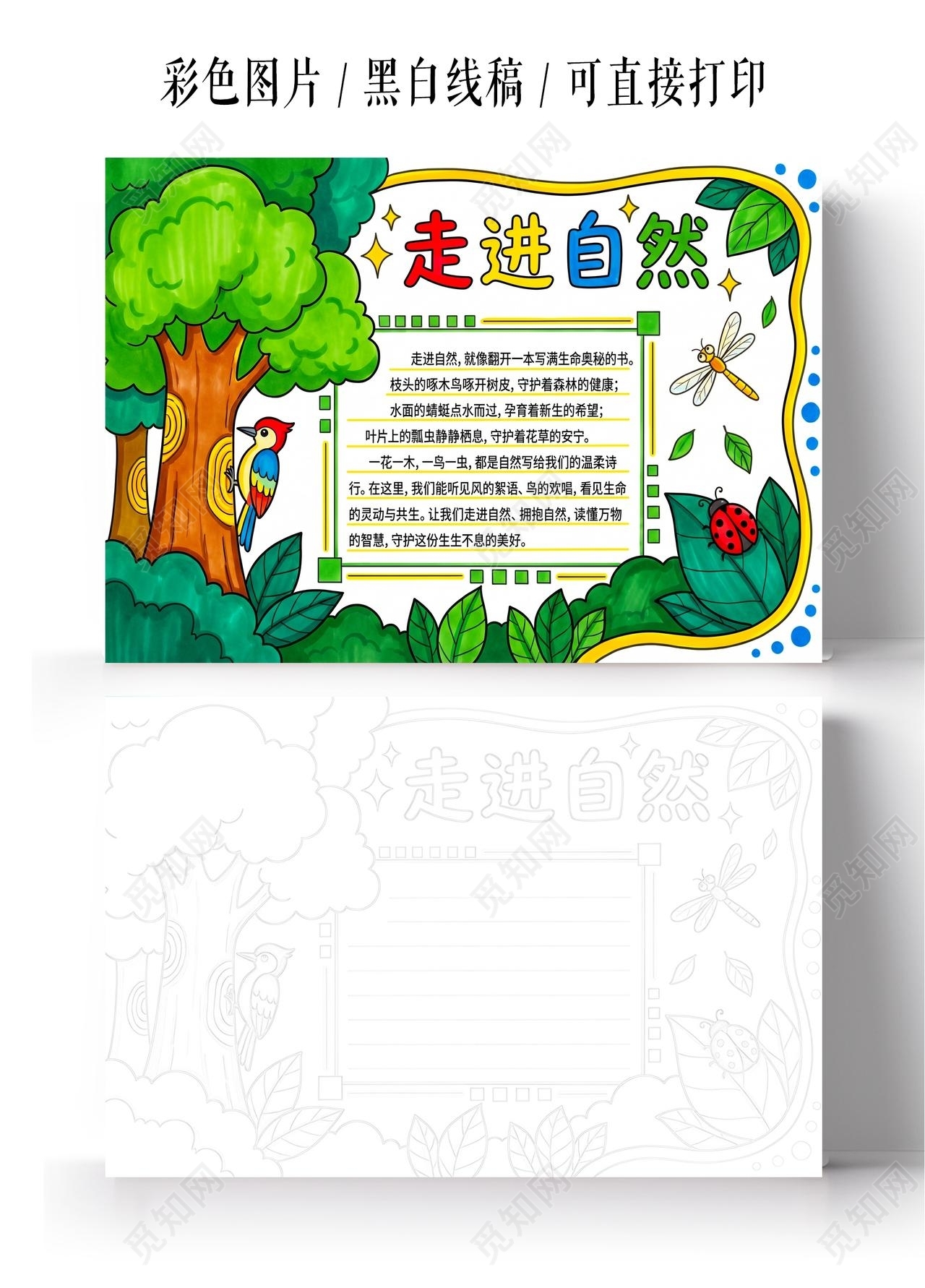 彩色卡通手绘走进自然小报手抄报小学生手抄报